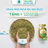 Hoa Đu Đủ Đực: Trị ho, hỗ trợ đường tiêu hóa