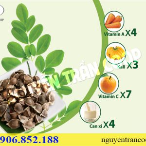 Hạt Chùm Ngây