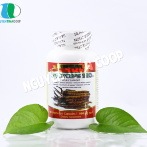 Viên Đông Trùng Hạ Thảo