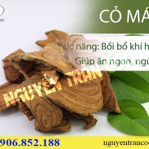 Cây Cỏ Máu