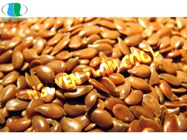 Hạt kế sữa GAN