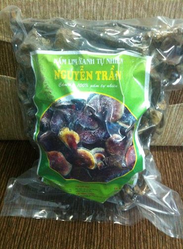 nam-lim-xanh-nguyen-tran