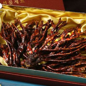 Nấm Linh Chi Sừng Hươu