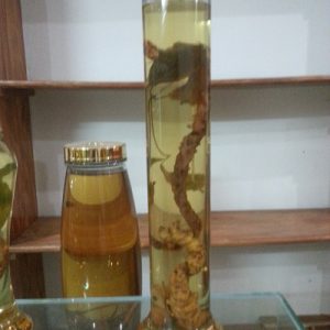 Rượu sâm ngọc linh