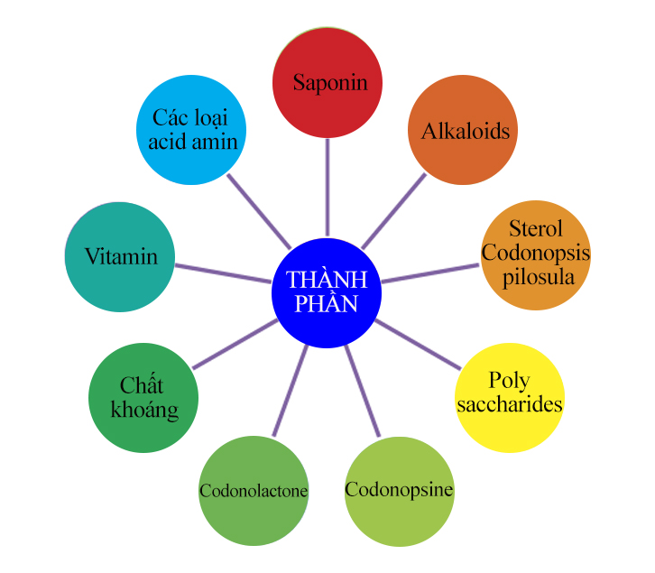 Sâm Dây Ngọc Linh