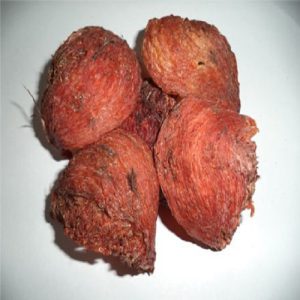 tổ yến đảo