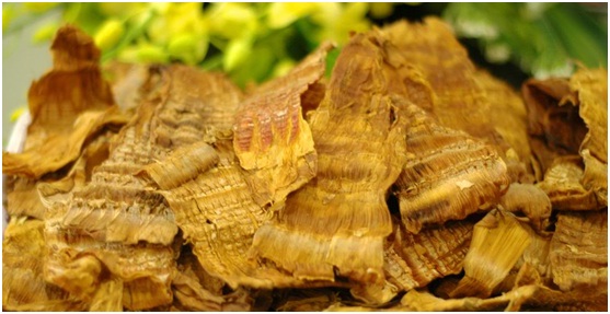 cach-chon-va-bao-quan-mang-kho