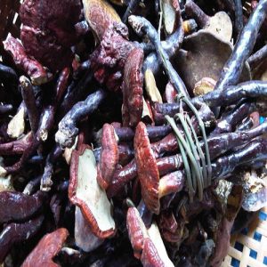 nấm lim xanh rừng