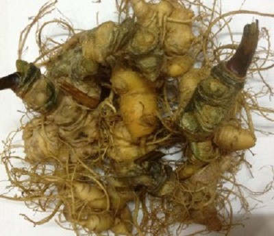 sam-ngoc-linh-kontum