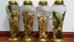 tam tat bac ngam ruou