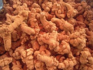 Tam thất bắc chữa bệnh