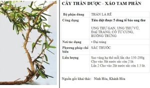 xao tam phan tri ung thu