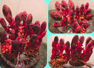 nam ngoc cau tu nhien