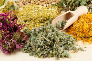 thao duoc chua ung thu