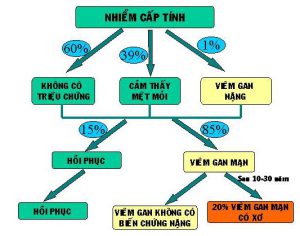 xơ vữa động mạch và đột quỵ