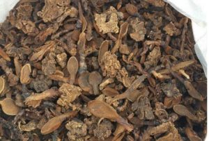 Cách làm nấm ngọc cẩu khô