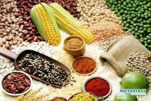 thực phẩm cần tránh đau dạ dày