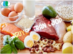 Thức ăn giúp cơ thể hấp thu chất dinh dưỡng