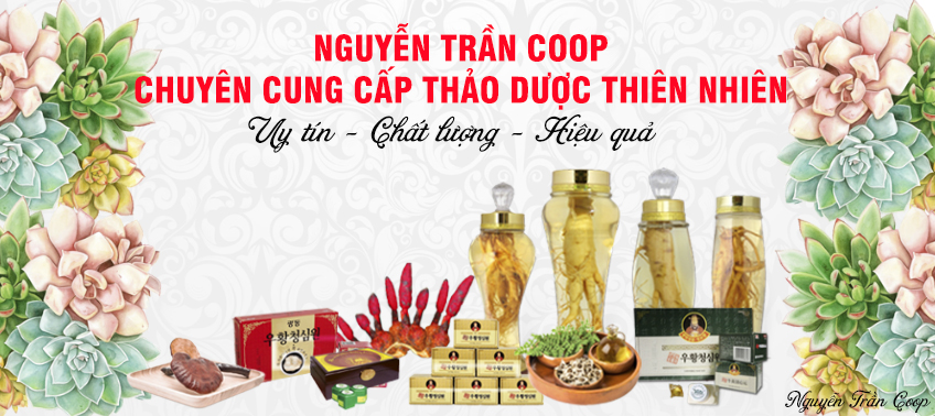 Thảo dược Nguyễn trần coop
