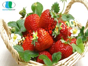 thực phẩm không tăng cân