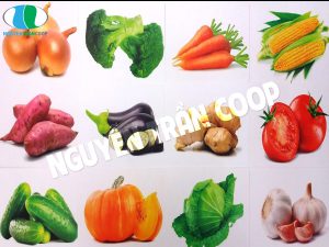 cải thiện sức đề kháng người cao tuổi 1