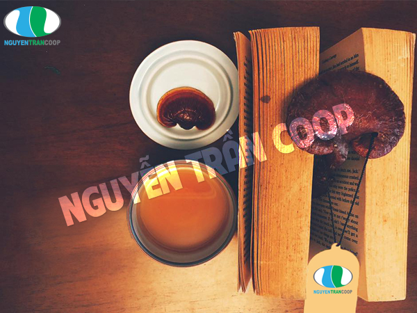 Bạn đã có thể phòng ngừa thiếu máu bằng Nấm Lim Xanh