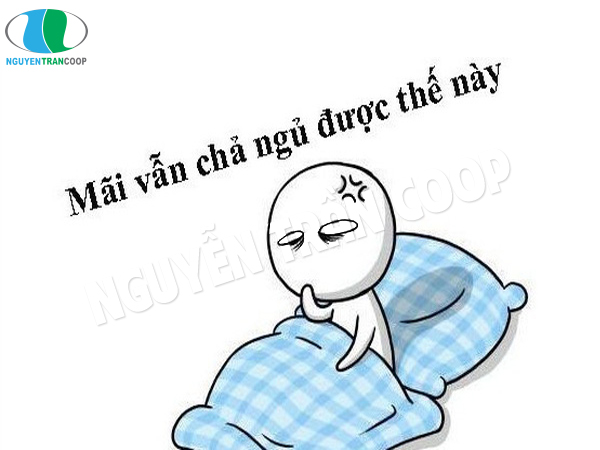 Bạn nên xem ngay cách trị mất ngủ bằng Nấm Lim Xanh