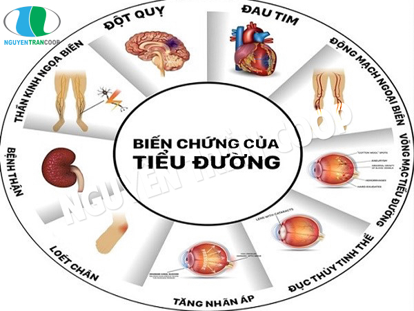Ít người biết cách dùng Nấm Lim Xanh chữa tiểu đường