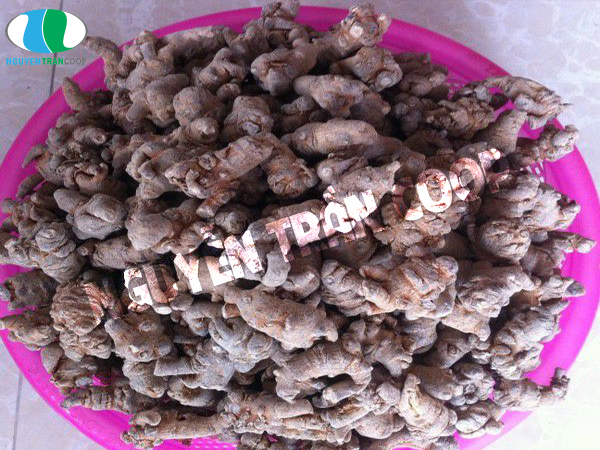 Dùng Tam Thất Bắc giúp giảm đau tự nhiên có được không?