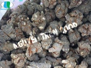 Dùng Tam Thất Bắc giúp giảm đau tự nhiên có được không?