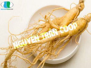 Bật mí cho bạn cách dùng nhân sâm tươi Hàn Quốc thật hiệu quả