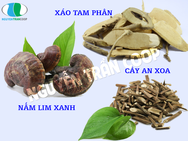 Chữa ung thư gan bằng Đông y - Thêm cơ hội cho người bệnh