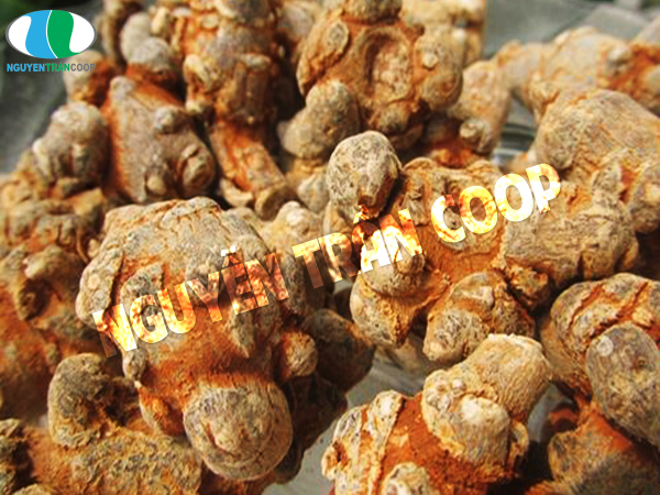 Tam thất cho người xơ vữa động mạch