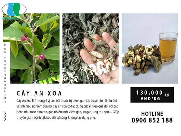 Điều trị viêm gan C như thế nào là hiệu quả?