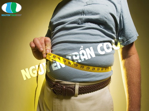 Giảm nỗi lo về tác hại của bệnh béo phì nhờ Nấm Lim Xanh