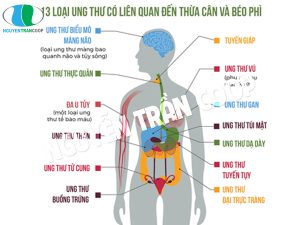 Giảm nỗi lo về tác hại của bệnh béo phì nhờ Nấm Lim Xanh