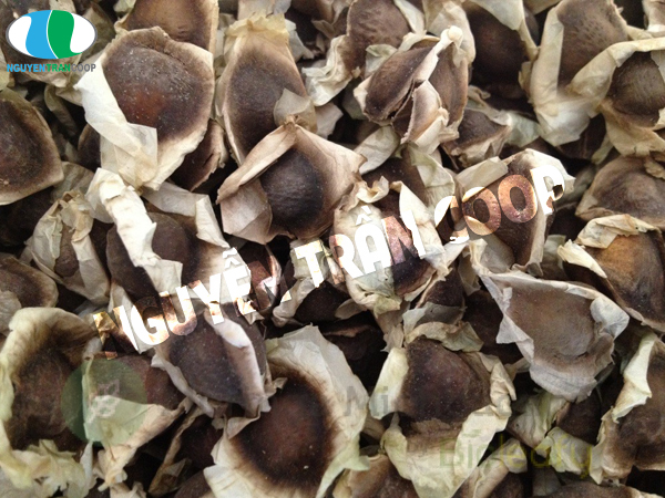 Hạt Chùm Ngây giá bao nhiêu tiền 1 kg? Nên mua ở đâu?