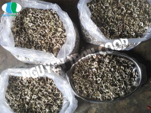 Hạt Chùm Ngây giá bao nhiêu tiền 1 kg? Nên mua ở đâu?