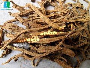 Hướng dẫn cách ngâm rượu Sâm Dây Ngọc Linh dễ làm