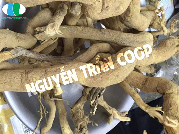 sự thật xáo tam phân 2