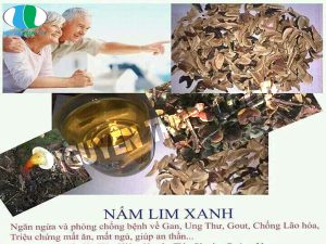 Mách bạn cách tận dụng bã Nấm Lim Xanh làm đẹp da