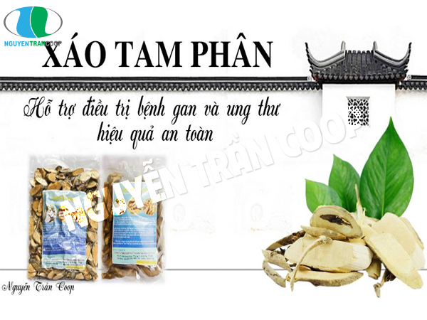 Nguy hiểm không ngờ khi uống phải Xáo Tam Phân giả