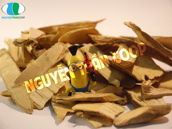 Nguy hiểm không ngờ khi uống phải Xáo Tam Phân giả