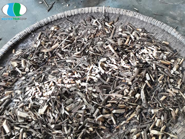 Thảo dược Cây An Xoa và công dụng ít người biết