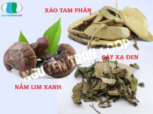 Thực hư khả năng chữa bệnh ung thư bằng thuốc nam