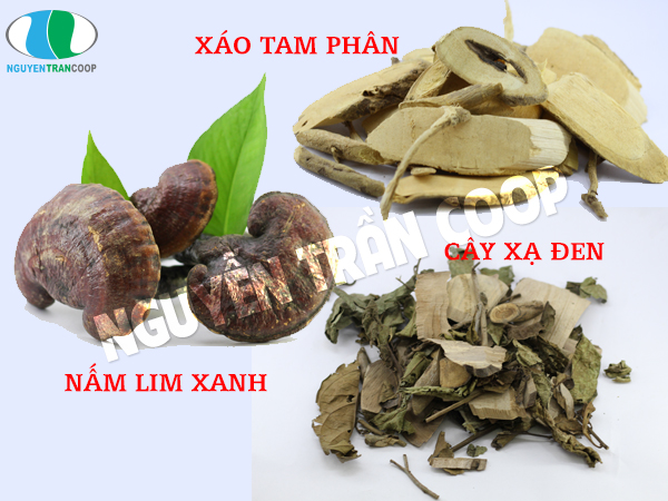 chữa bệnh ung thư bằng thuốc nam