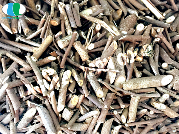 Top 4 loại thảo dược giải độc gan tốt nhất