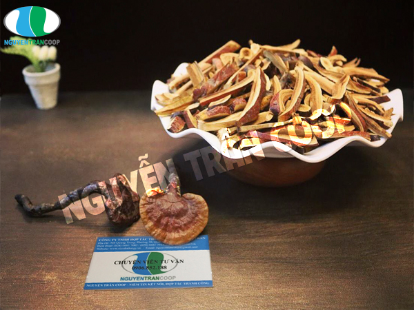 Top 4 loại thảo dược giải độc gan tốt nhất