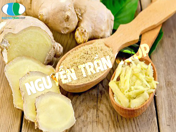 Top 4 loại thảo dược giải độc gan tốt nhất