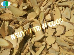 Xôn xao đi tìm vị thuốc Xáo Tam Phân chữa bệnh